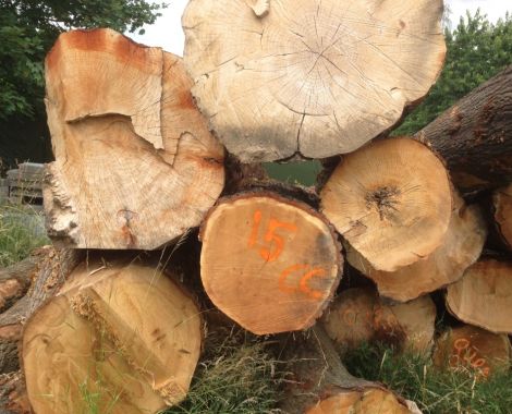 exclusive woods houtsoorten